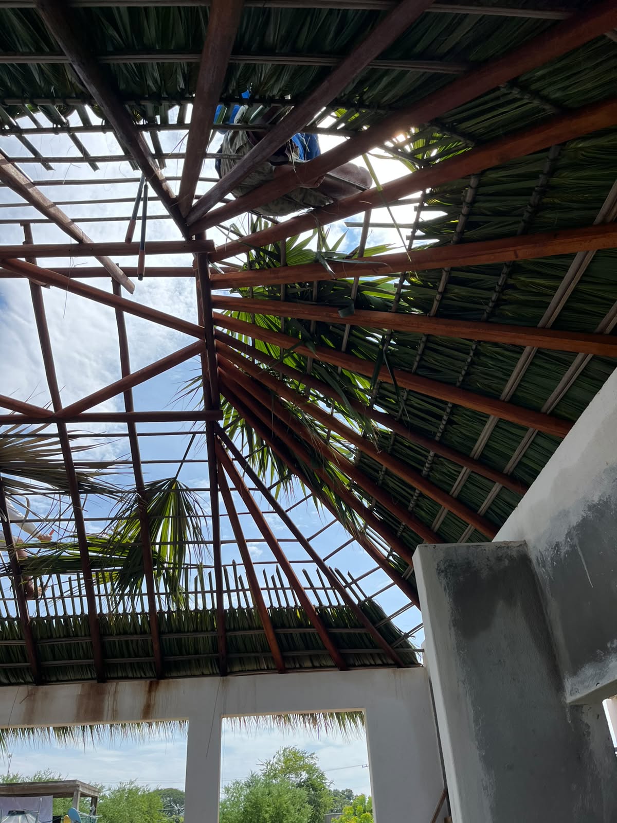 Proceso de construcción de Casa Arena